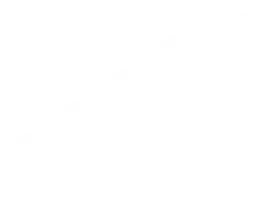 cashzap-Footer-Ornament-1