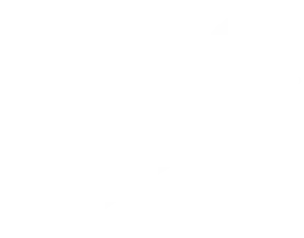 cashzap-Footer-Ornament-2