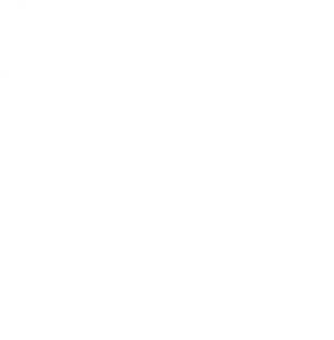 cashzap-Footer-Ornament-3