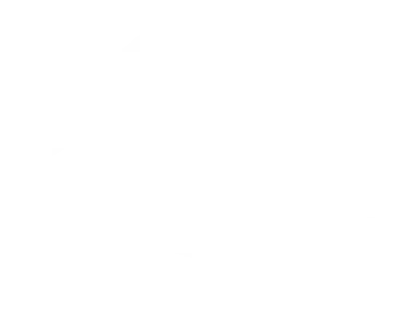 cashzap-Statistic-Ornament-2